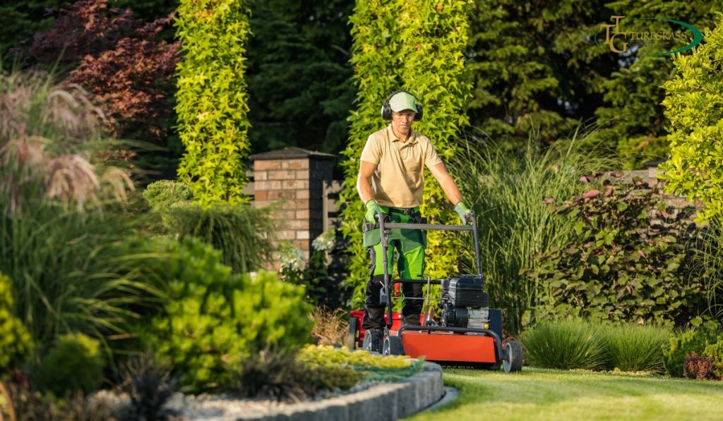 lawn mowing services