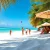 Plan Your Dream Escape with Livingstone Vacations Bahamas Travel Packages