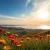 Understanding the Charm and Diversity of Manitoba: A Comprehensive Guide